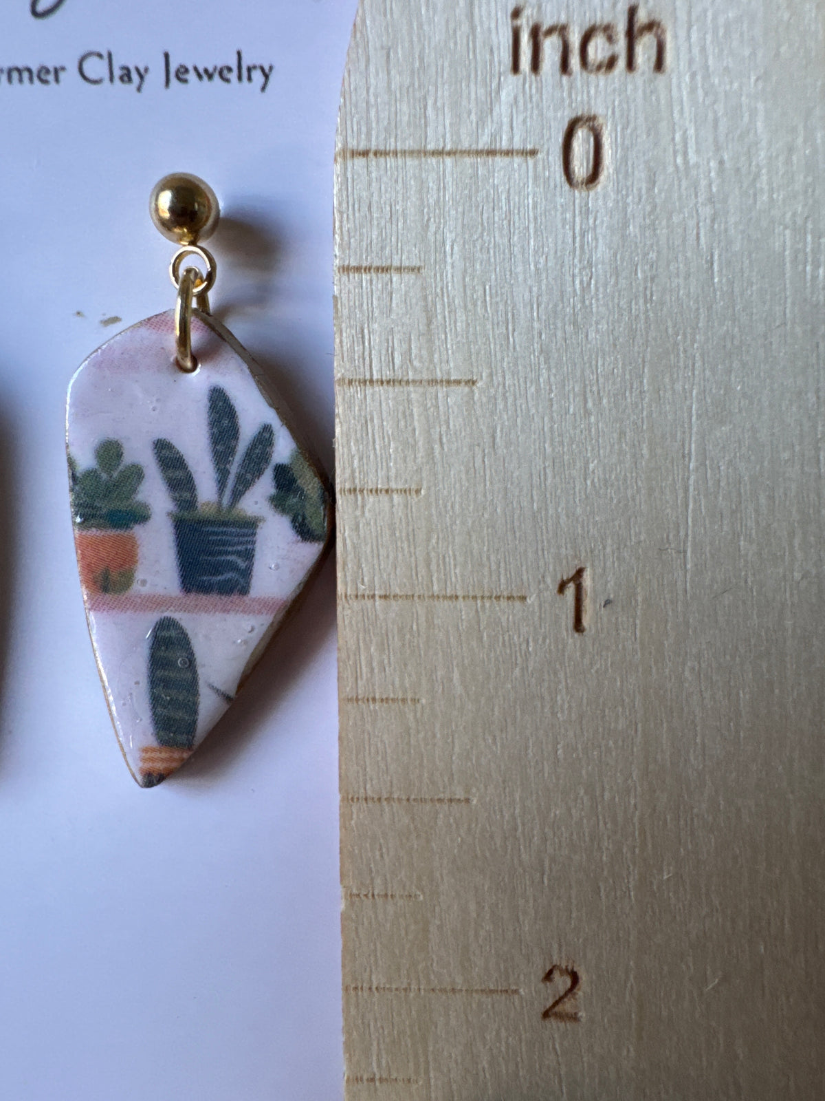 Succulent: Lotus