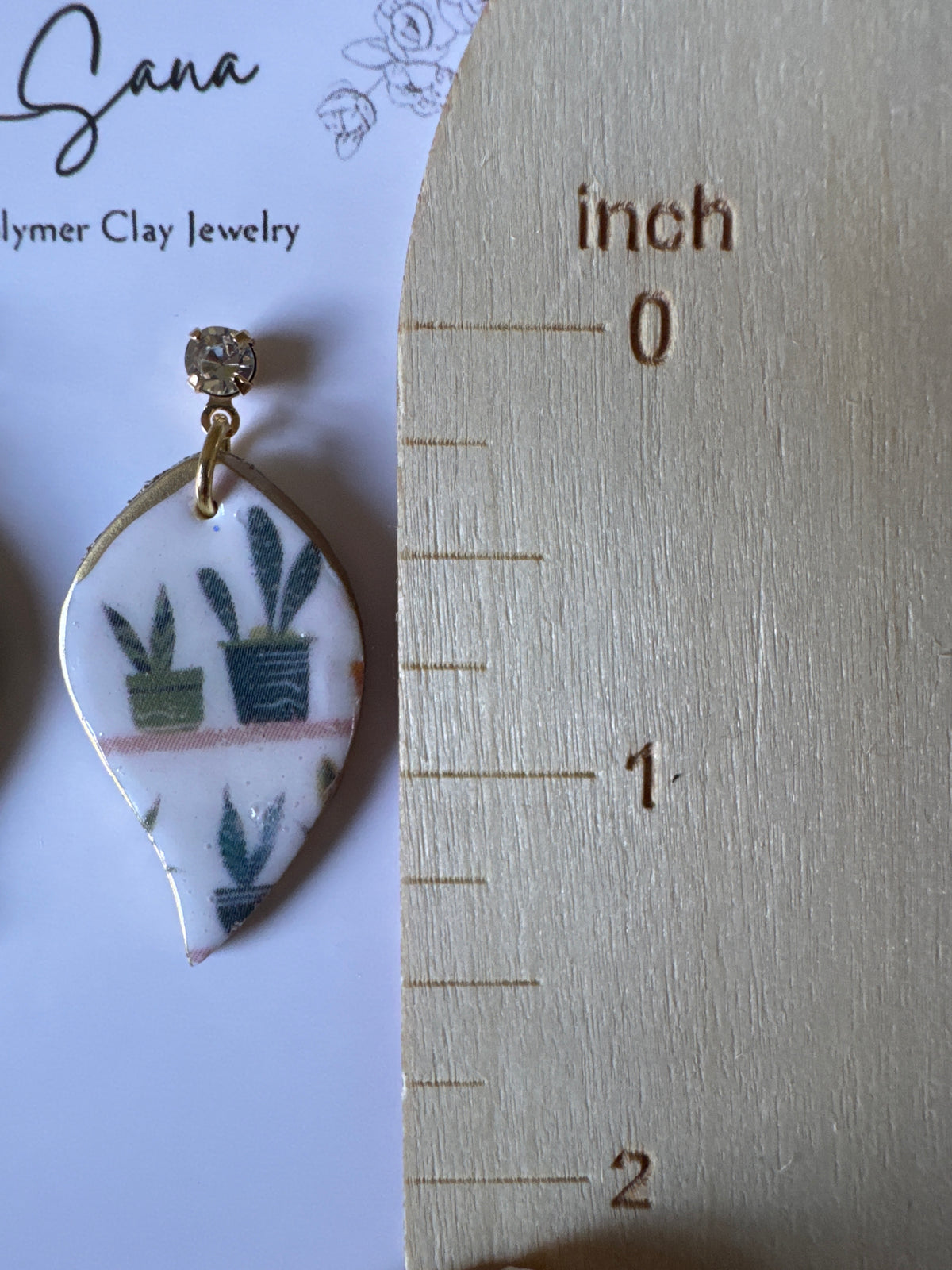 Succulent: Pebble