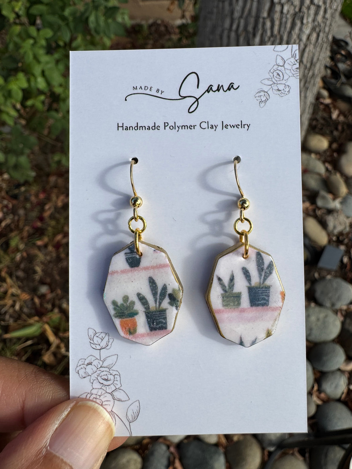 Succulent: Jade