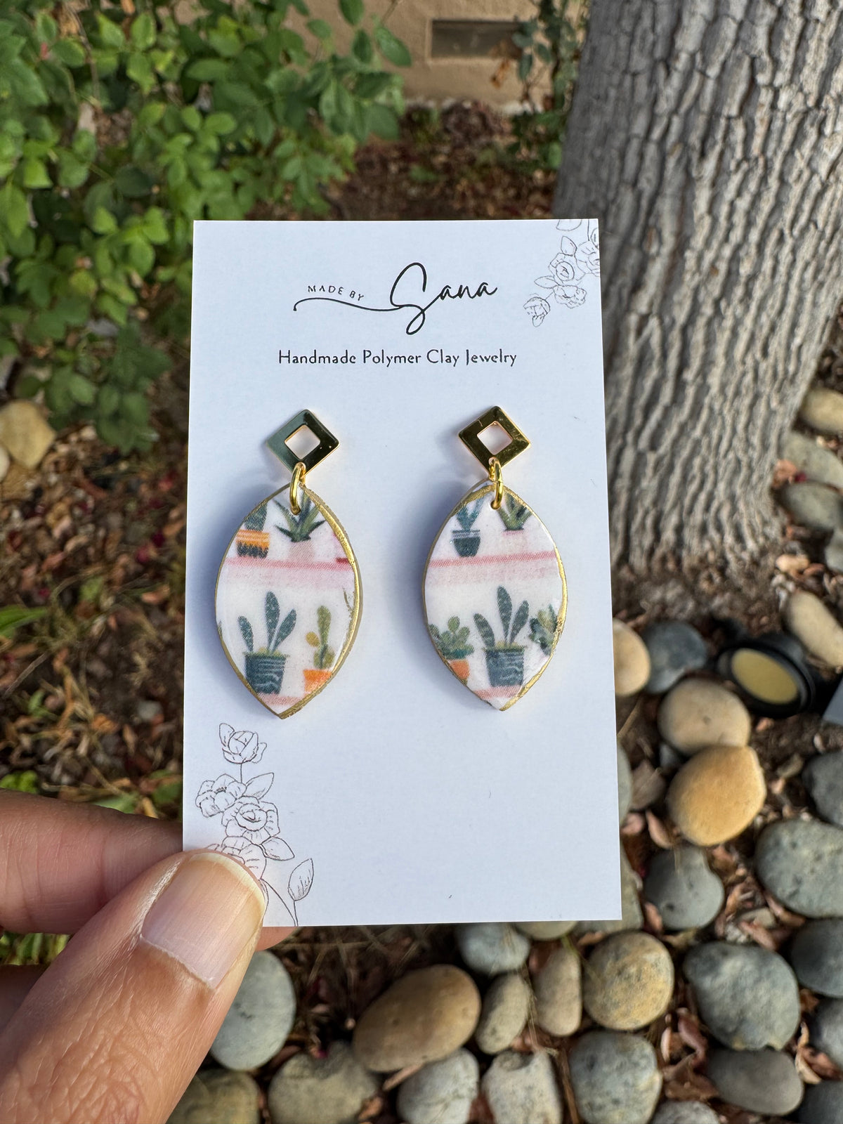 Succulent: Opalina