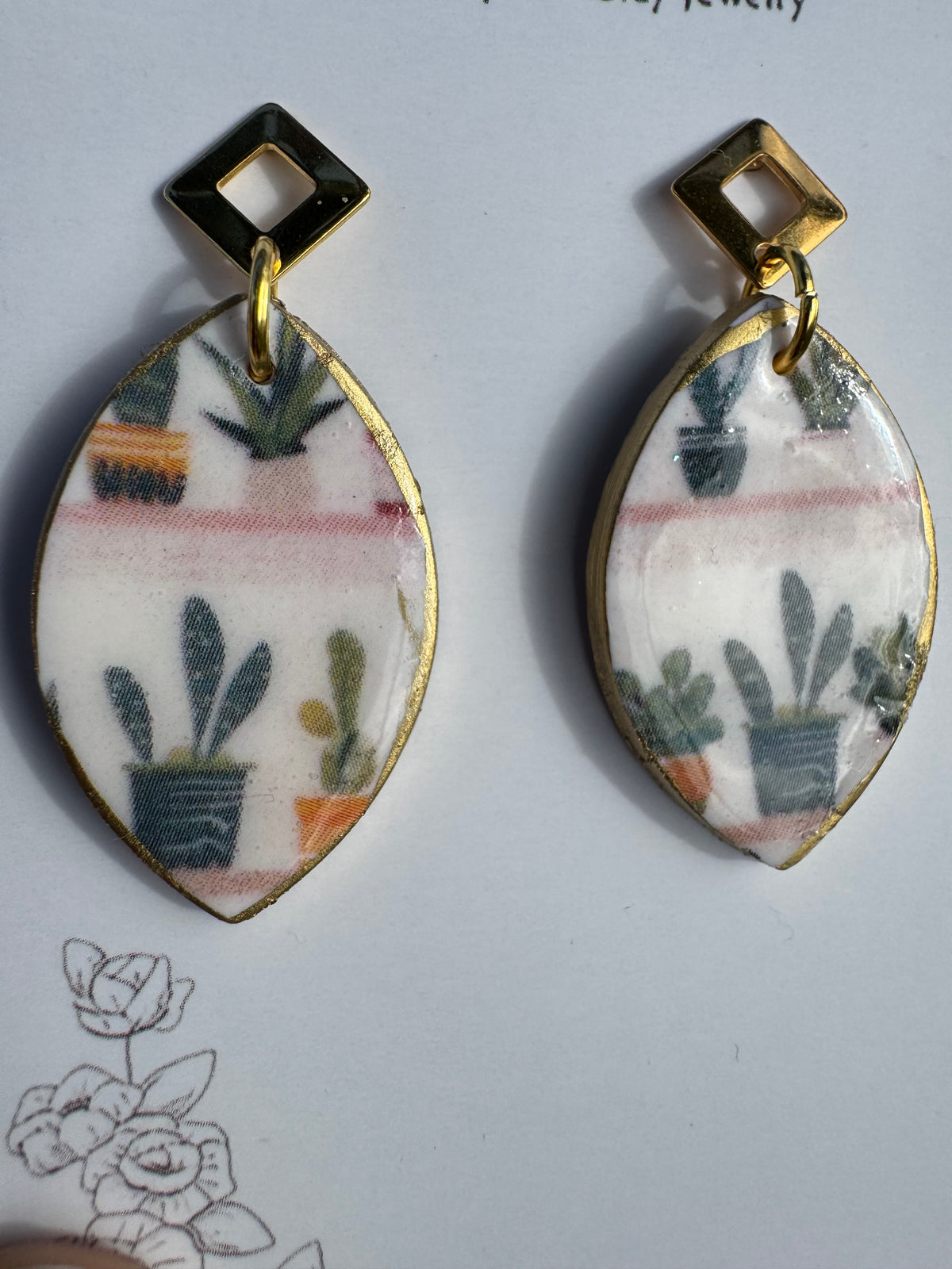 Succulent: Opalina