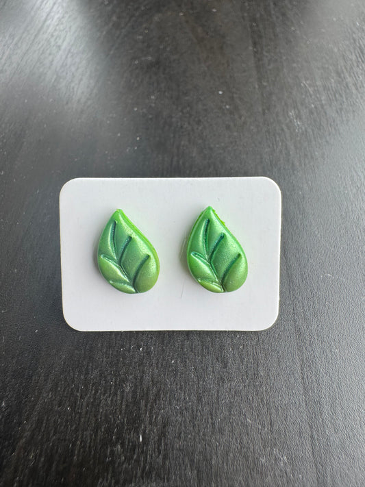 Autumn: Green Leaf