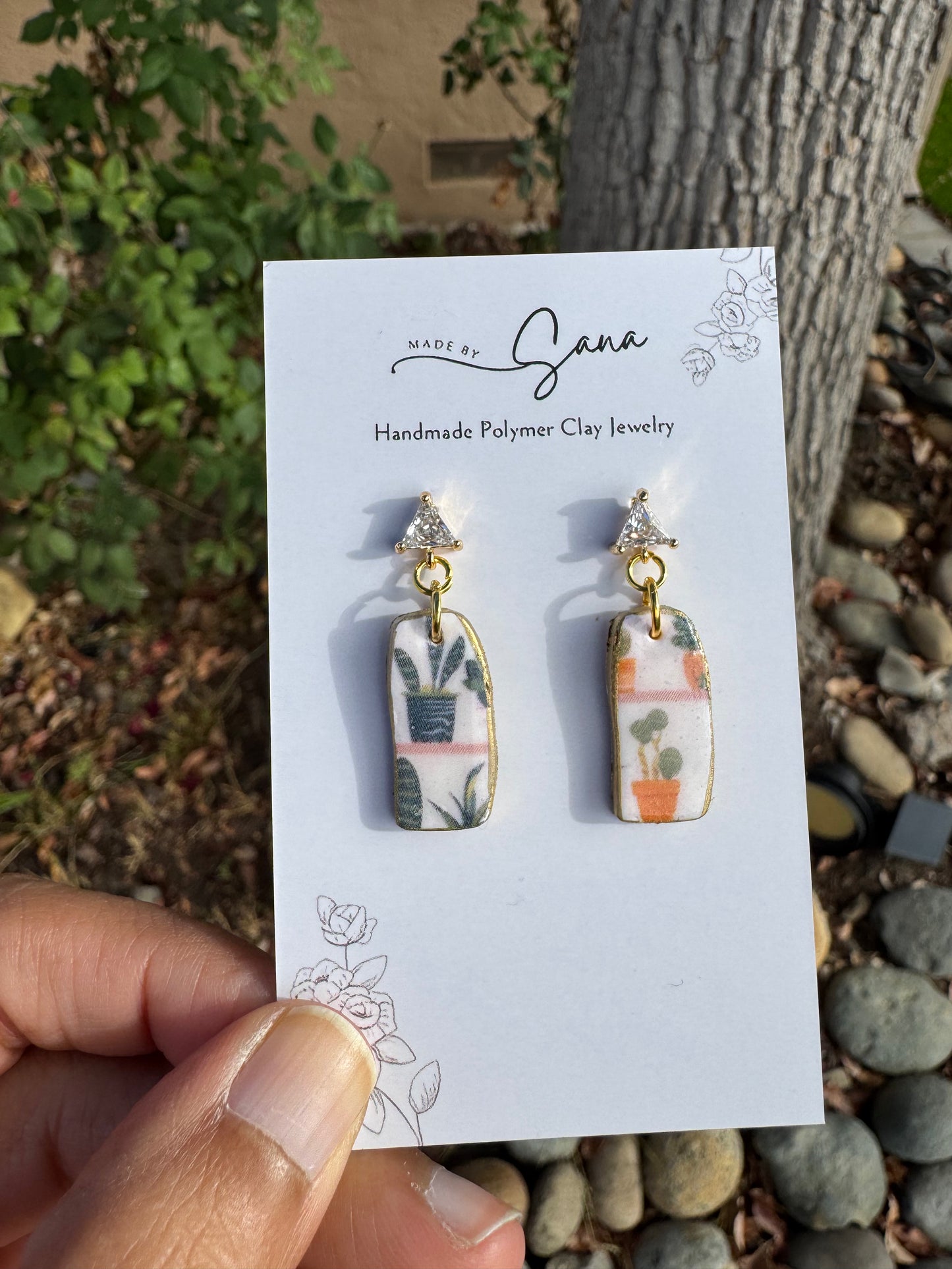 Succulent: Coral