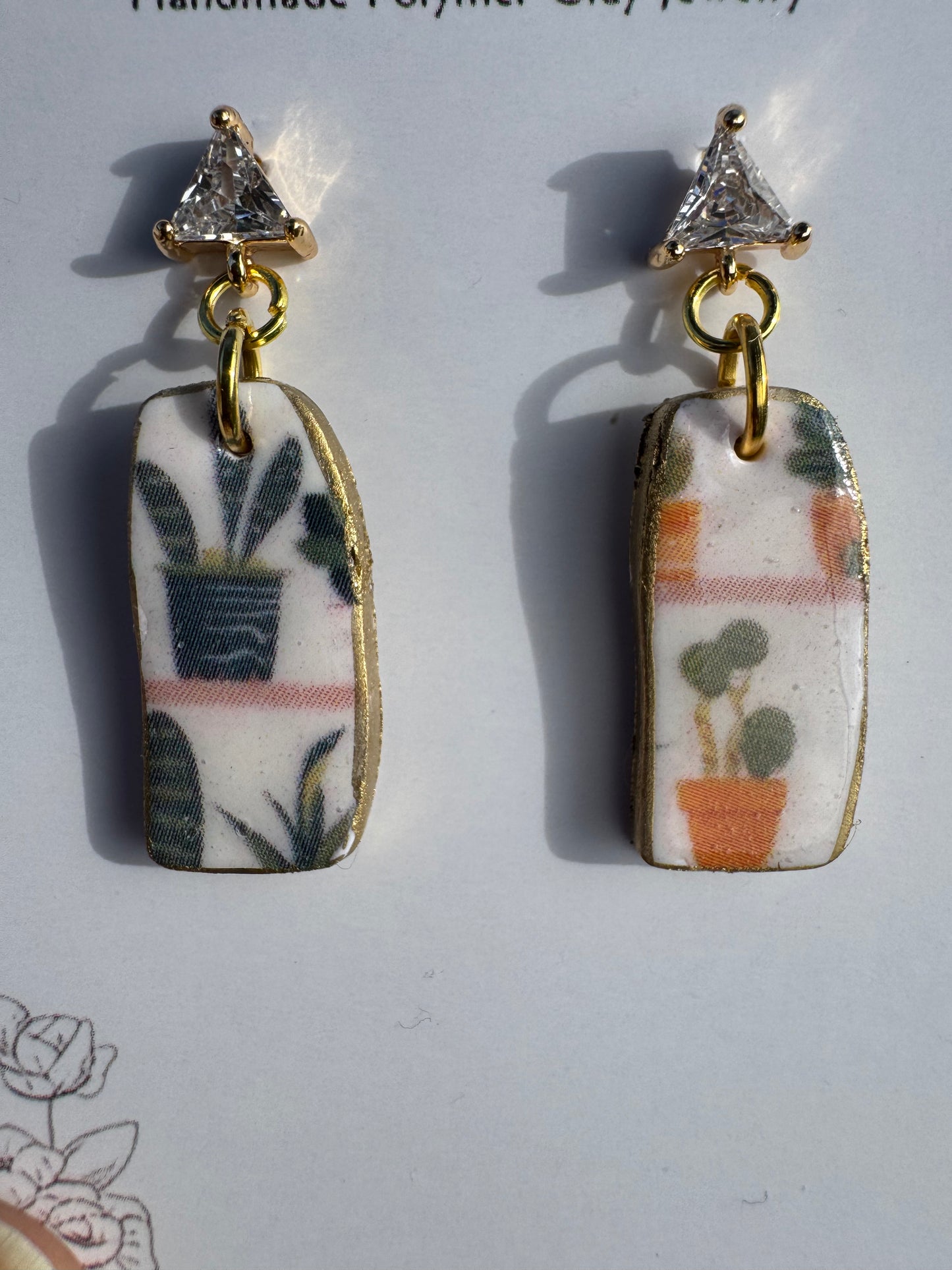 Succulent: Coral