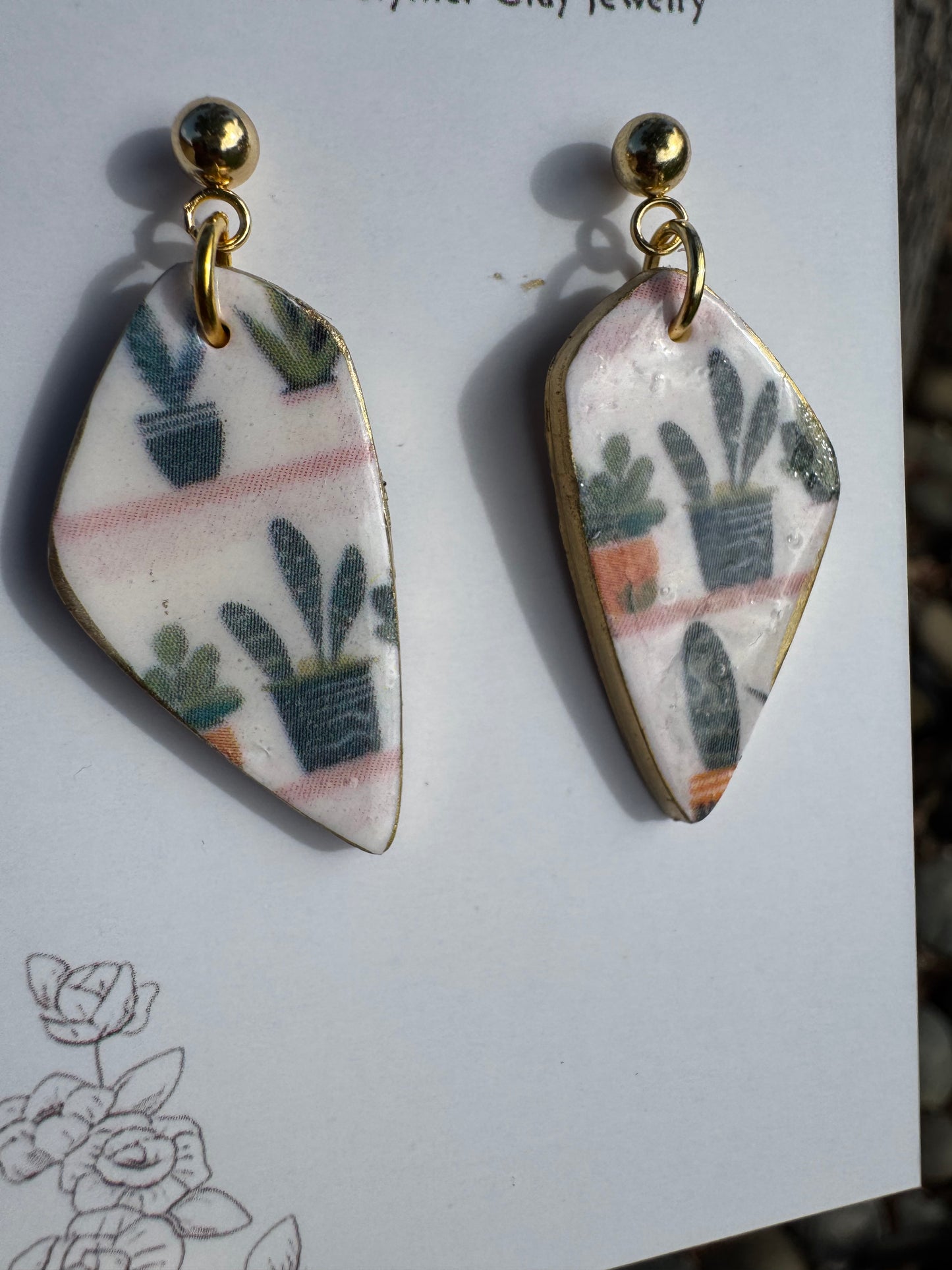 Succulent: Lotus