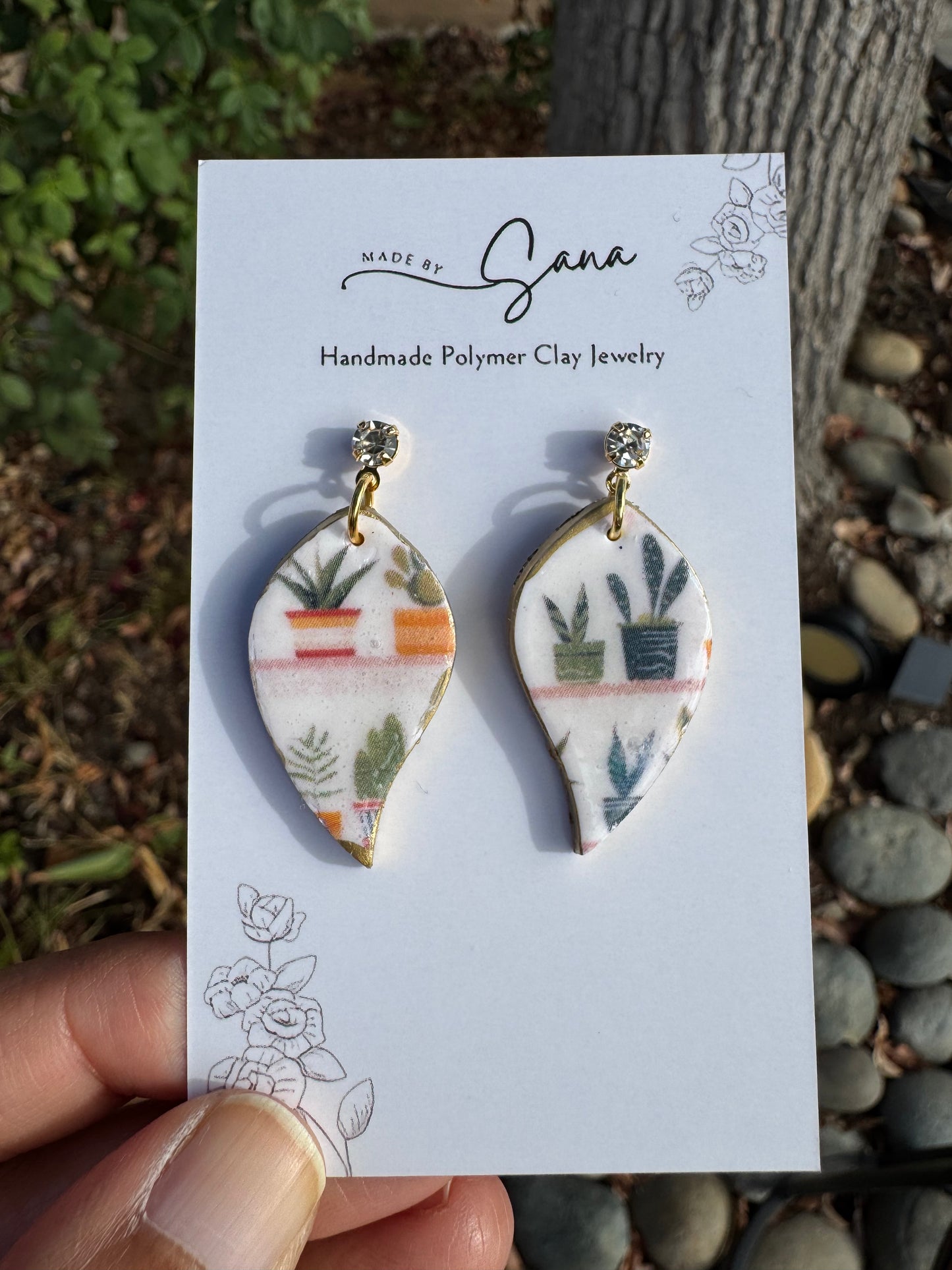 Succulent: Pebble