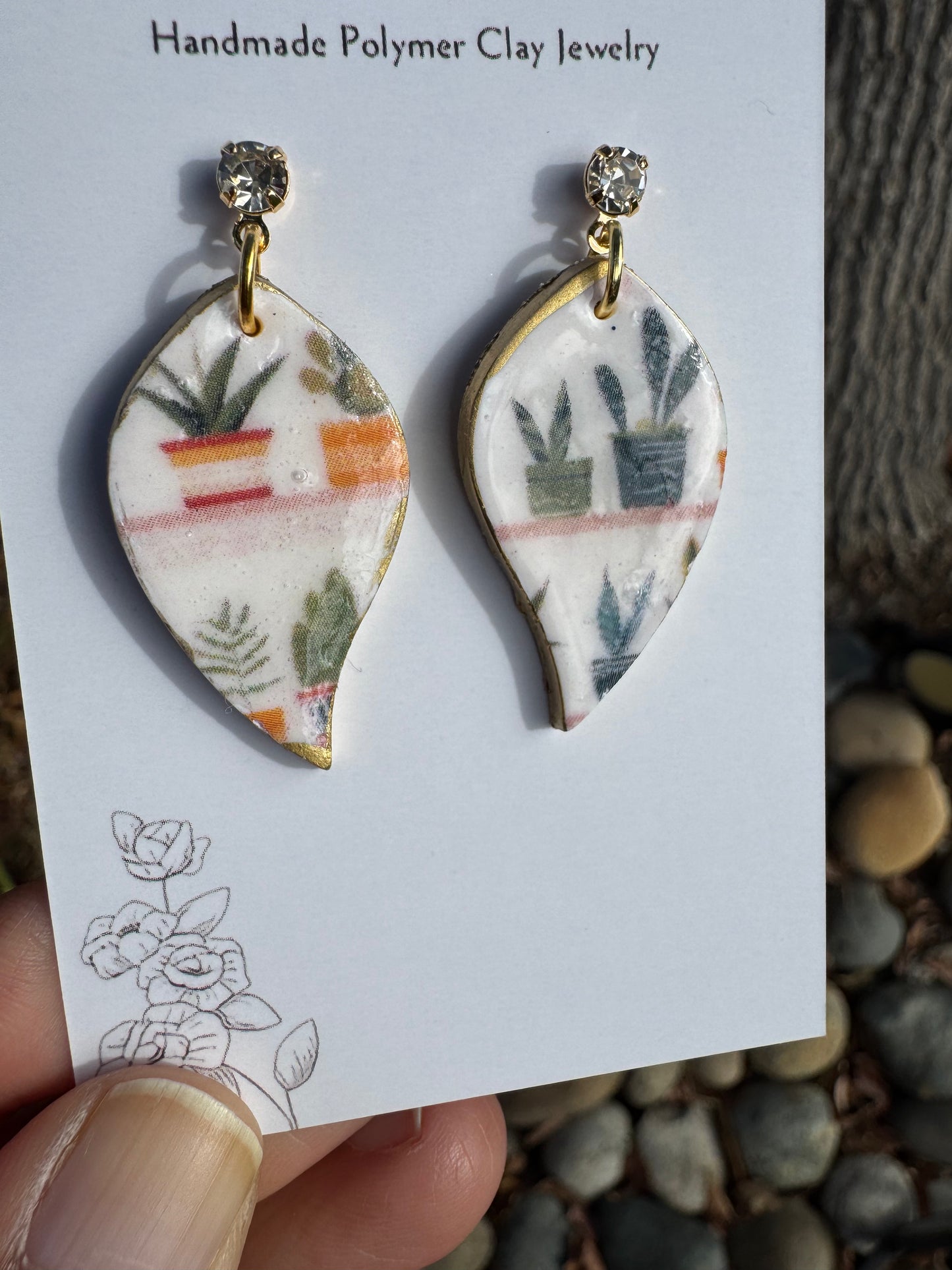 Succulent: Pebble